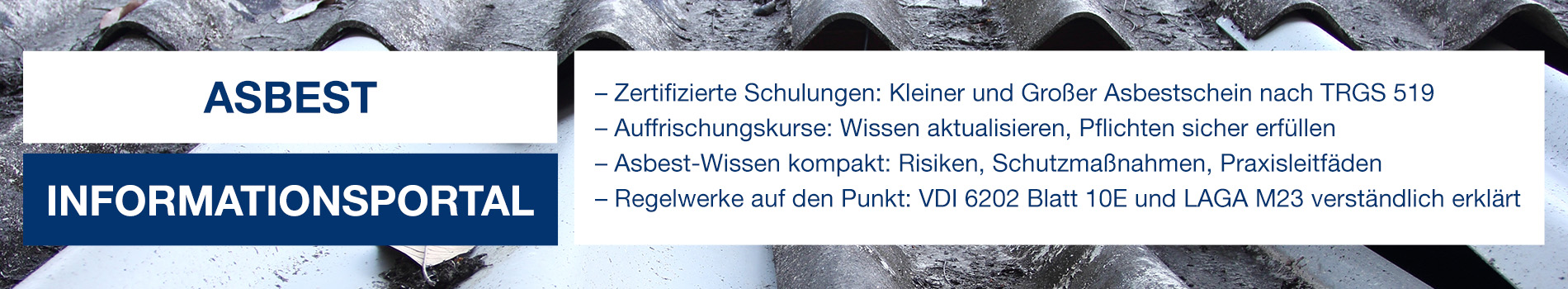 Banner für das Asbetportal der Deutschen Umweltakademie