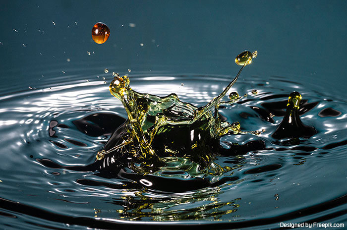 Abwasser Grundlagenseminar