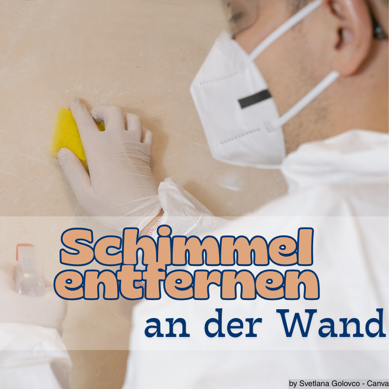 Handwerker entfernt Schimmel an der Wand.