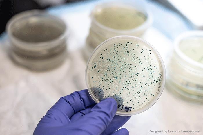 Biofilme in Verdunstungskühlanlagen