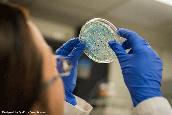 Weiterbildung Biologe