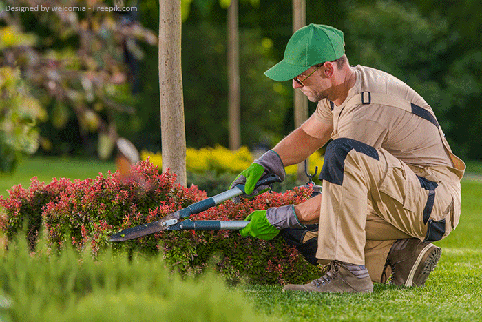 Landschaftsgärtner Weiterbildung