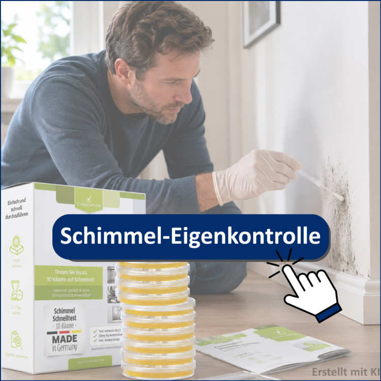 Ein Mann nimmt eine Eigenkontrolle auf Schimmel